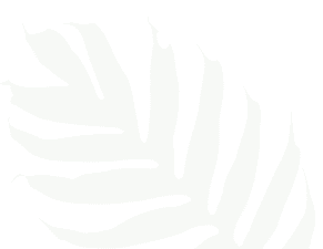 Dark silhouette of a leaf pattern.