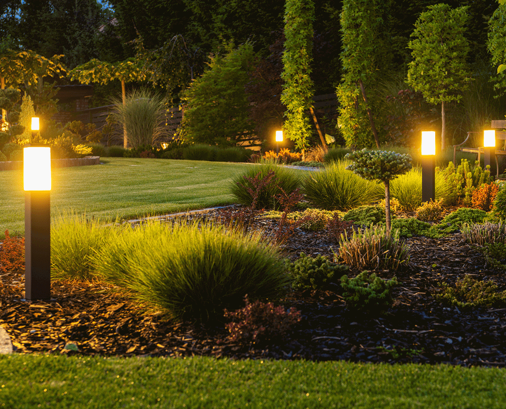 Illuminated garden pathway with modern lights.
